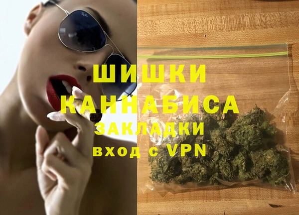 индика Балабаново