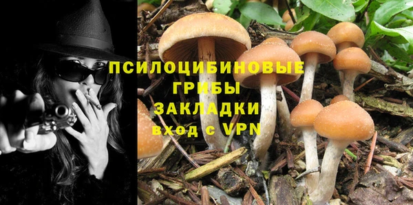 индика Баксан