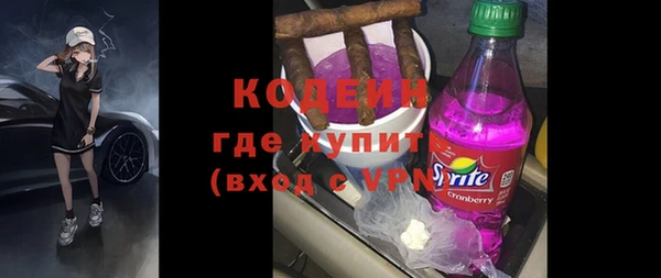 индика Баксан