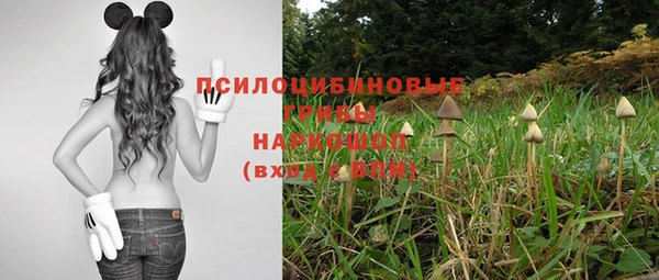 индика Баксан