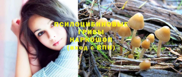 индика Балабаново