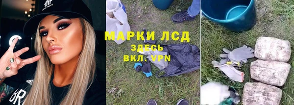 индика Балабаново