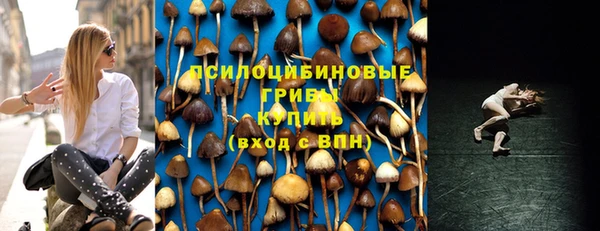 индика Баксан
