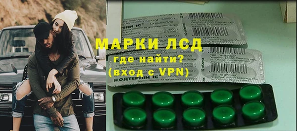 индика Баксан