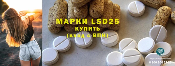 индика Баксан
